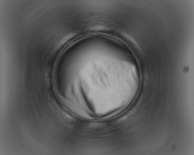 X0000092311305200710121450