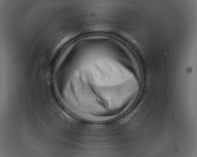 X0000092311306200710121450