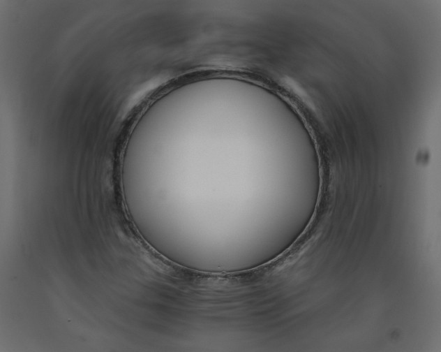 X0000092311307200710121450