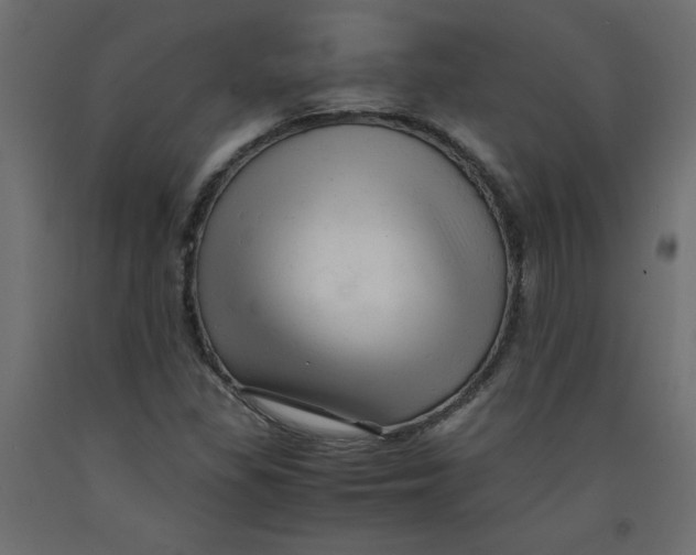 X0000092311309200710121450