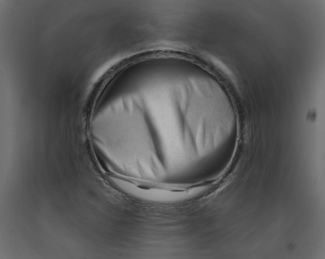 X0000092311310200710121450
