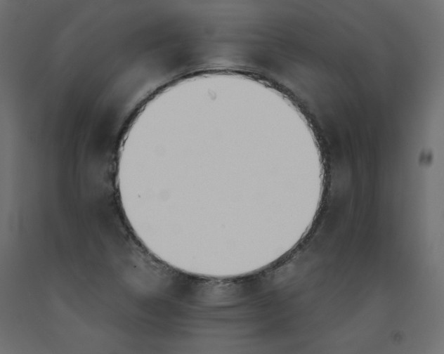 X0000092311314200710121450