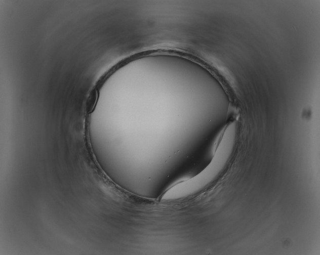 X0000092311316200710121450