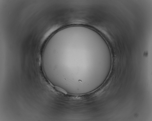 X0000092311317200710121450