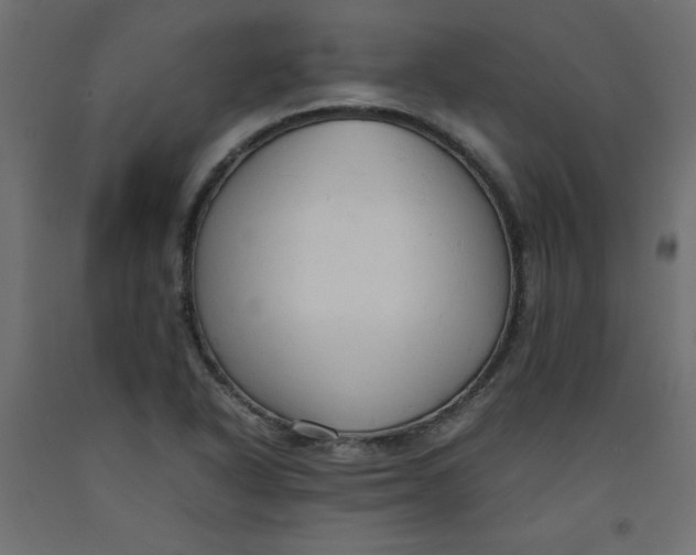 X0000092311318200710121450