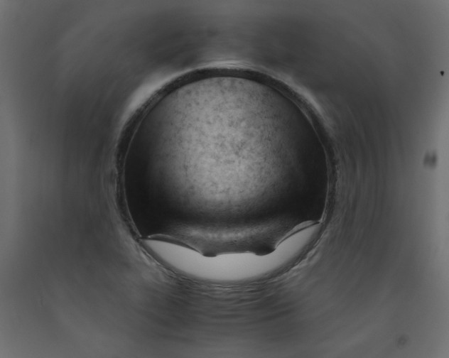 X0000092311319200710121450