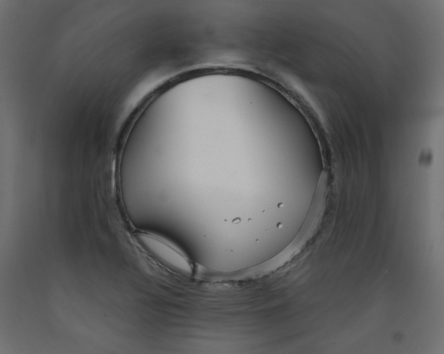 X0000092311320200710121450