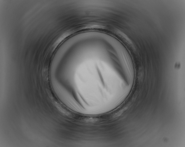 X0000092311321200710121450