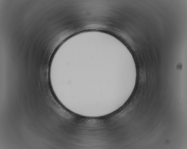 X0000092311322200710121450