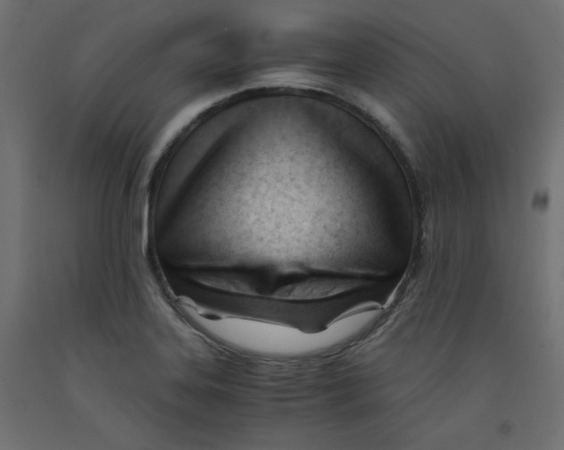 X0000092311323200710121450