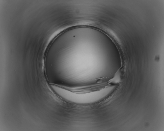 X0000092311324200710121450