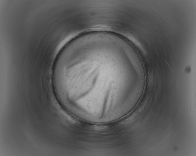 X0000092311325200710121450