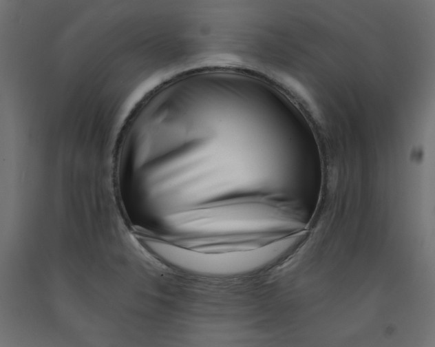 X0000092311326200710121450