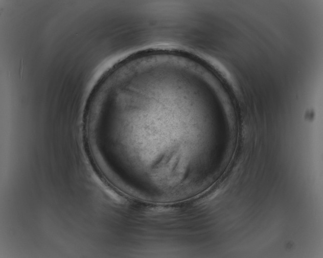 X0000092311327200710121450