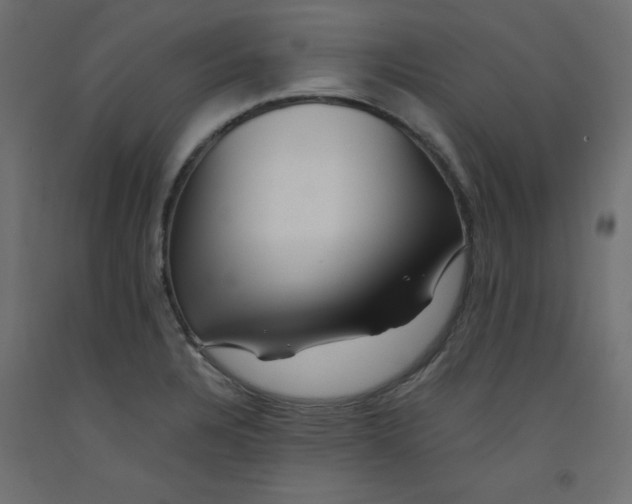 X0000092311328200710121450