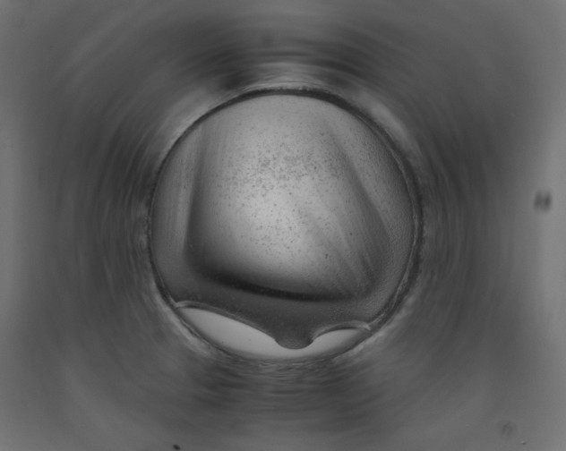 X0000092311329200710121450
