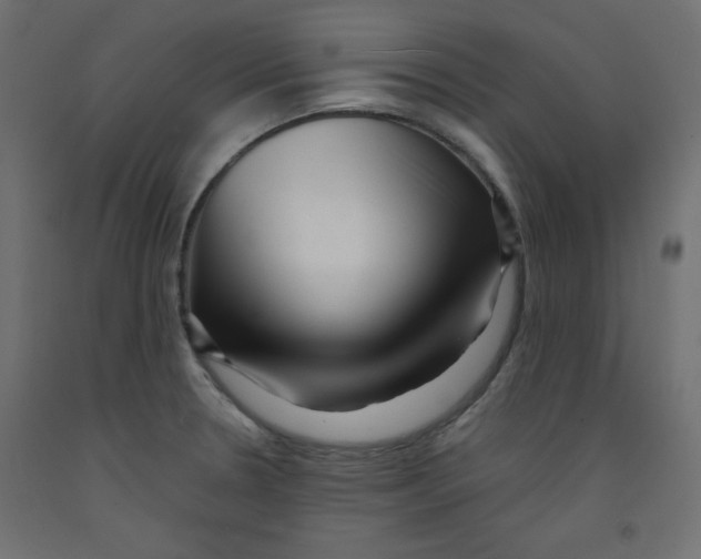 X0000092311330200710121450