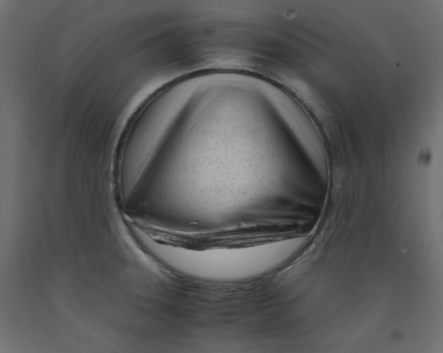X0000092311331200710121450