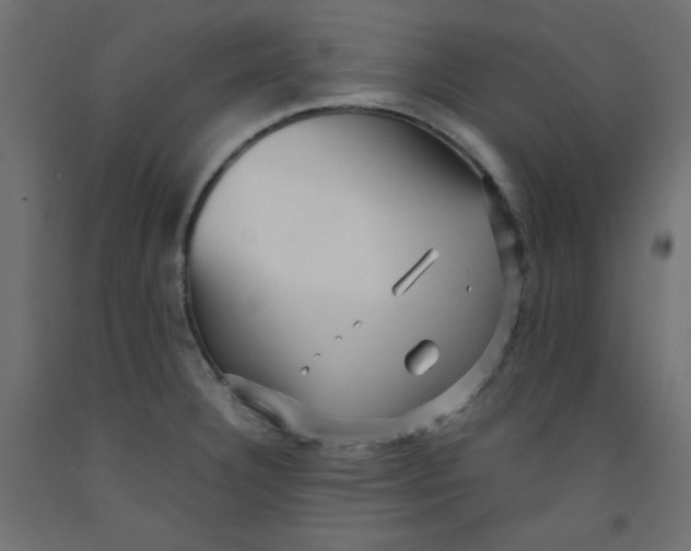 X0000092311332200710121450