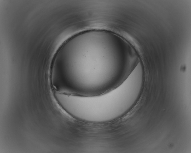 X0000092311334200710121450