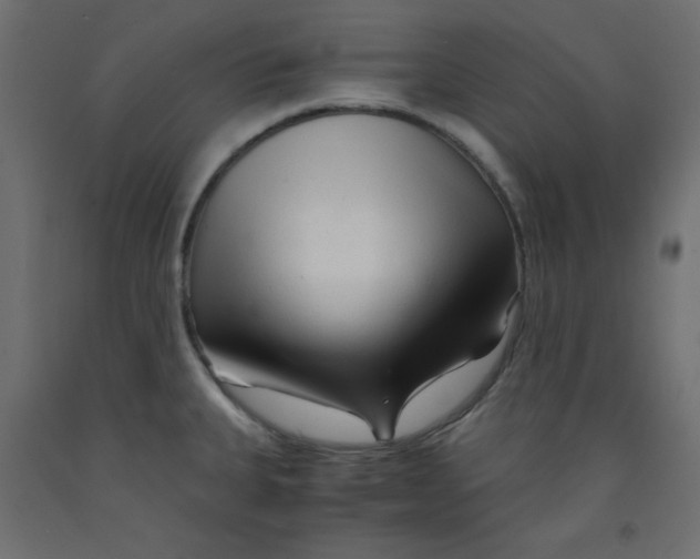 X0000092311335200710121450