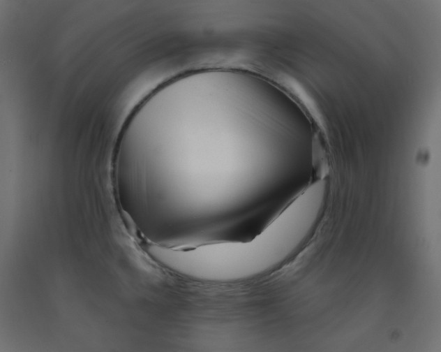 X0000092311336200710121450