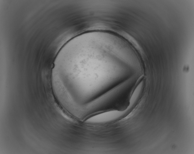 X0000092311337200710121450