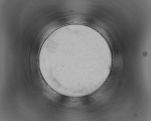 X0000092311338200710121450