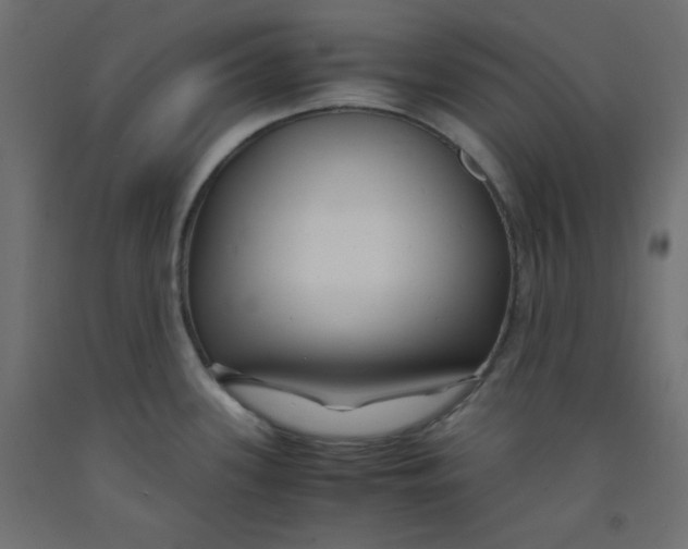 X0000092311339200710121451