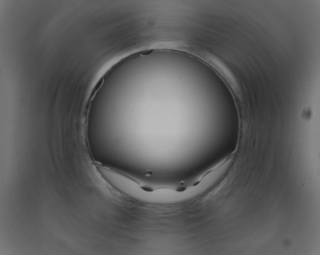 X0000092311340200710121451