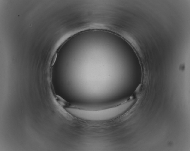 X0000092311342200710121451