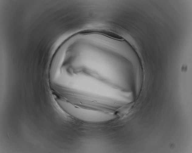 X0000092311344200710121451