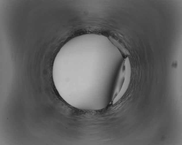 X0000092311345200710121450