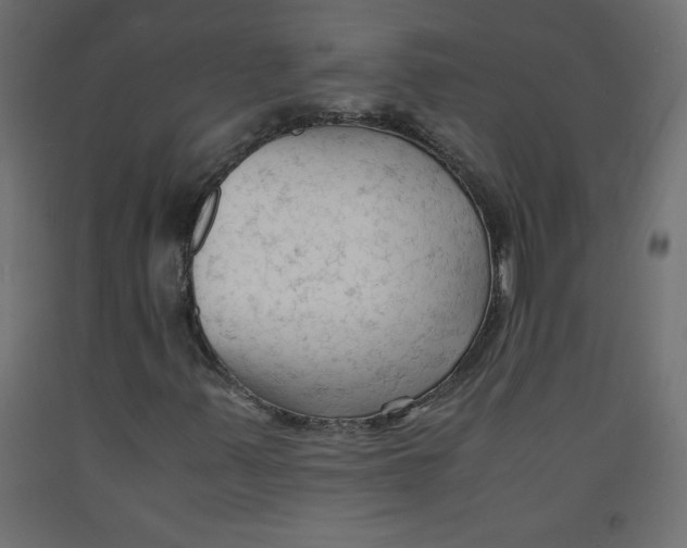X0000092311347200710121450