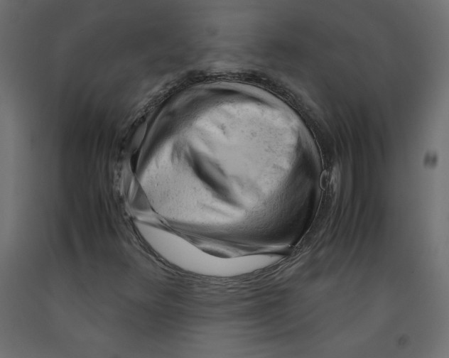 X0000092311348200710121450