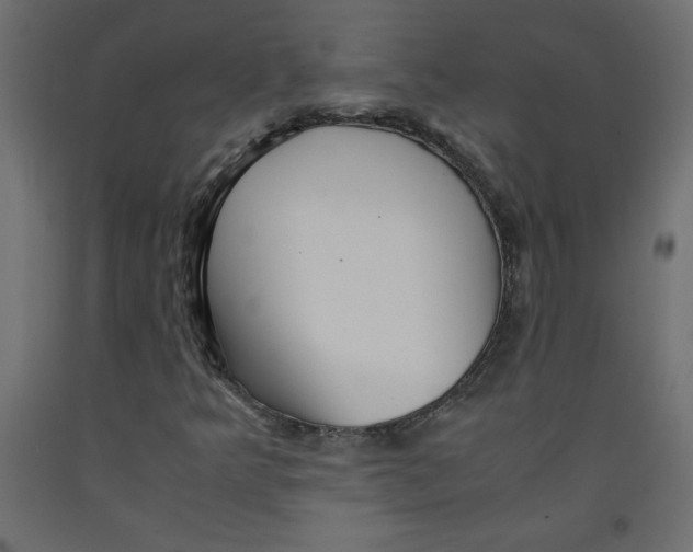 X0000092311349200710121450