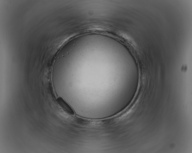 X0000092311353200710121450
