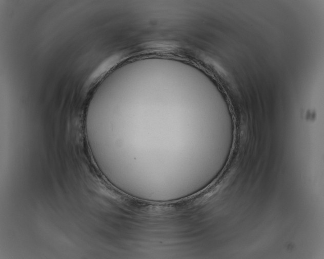 X0000092311354200710121450