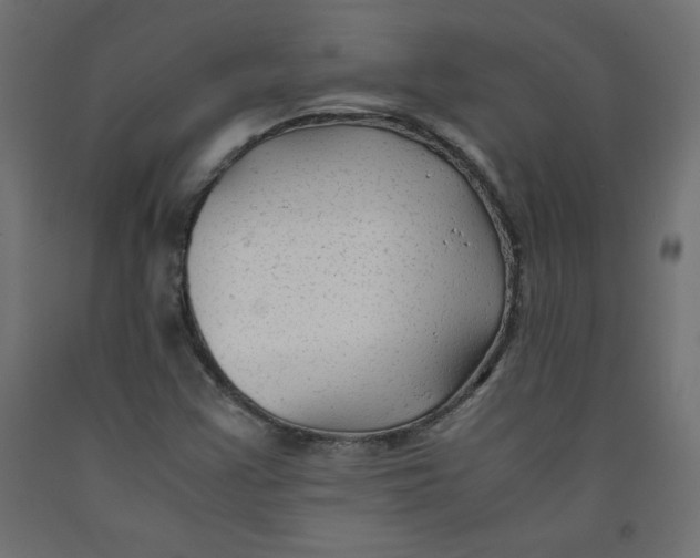 X0000092311355200710121450