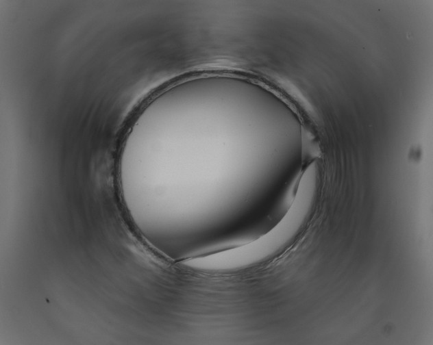 X0000092311356200710121450