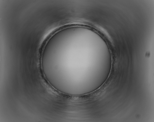 X0000092311360200710121450
