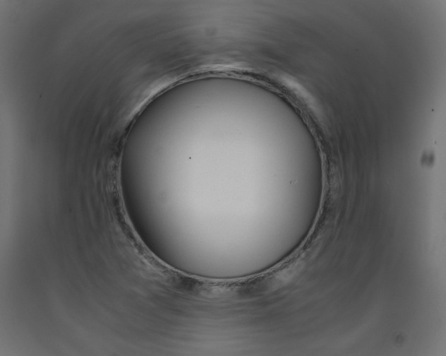 X0000092311361200710121450