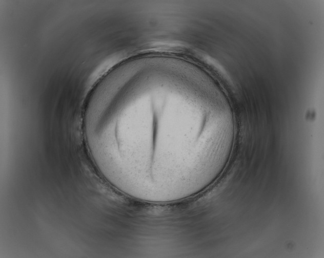 X0000092311362200710121450