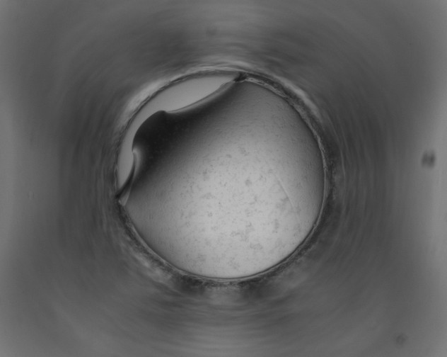 X0000092311363200710121450