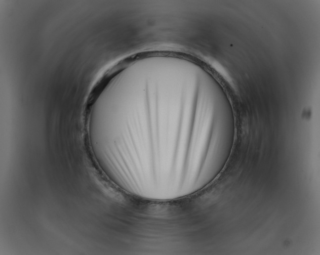 X0000092311364200710121450