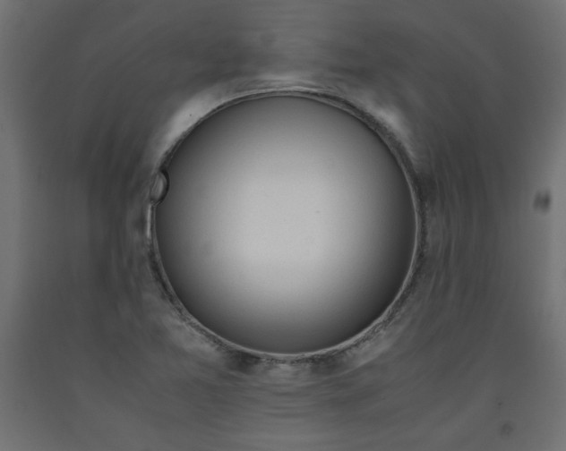 X0000092311365200710121450