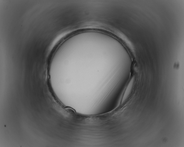 X0000092311368200710121450