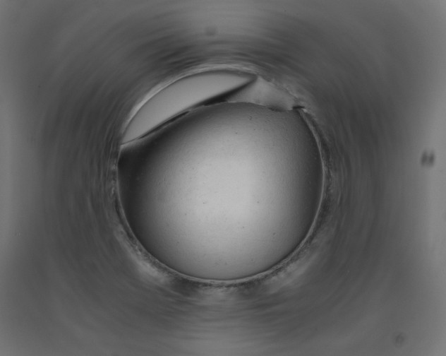 X0000092311369200710121450
