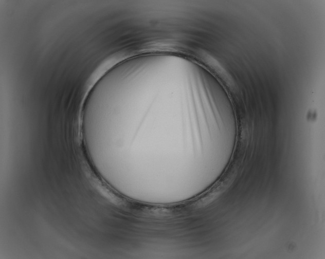 X0000092311370200710121450