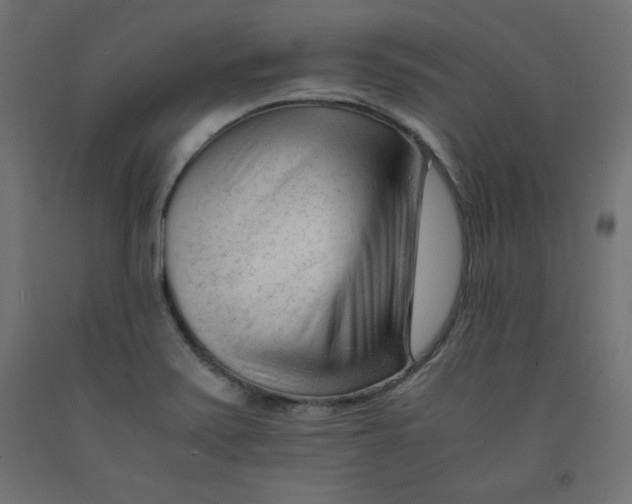 X0000092311371200710121450